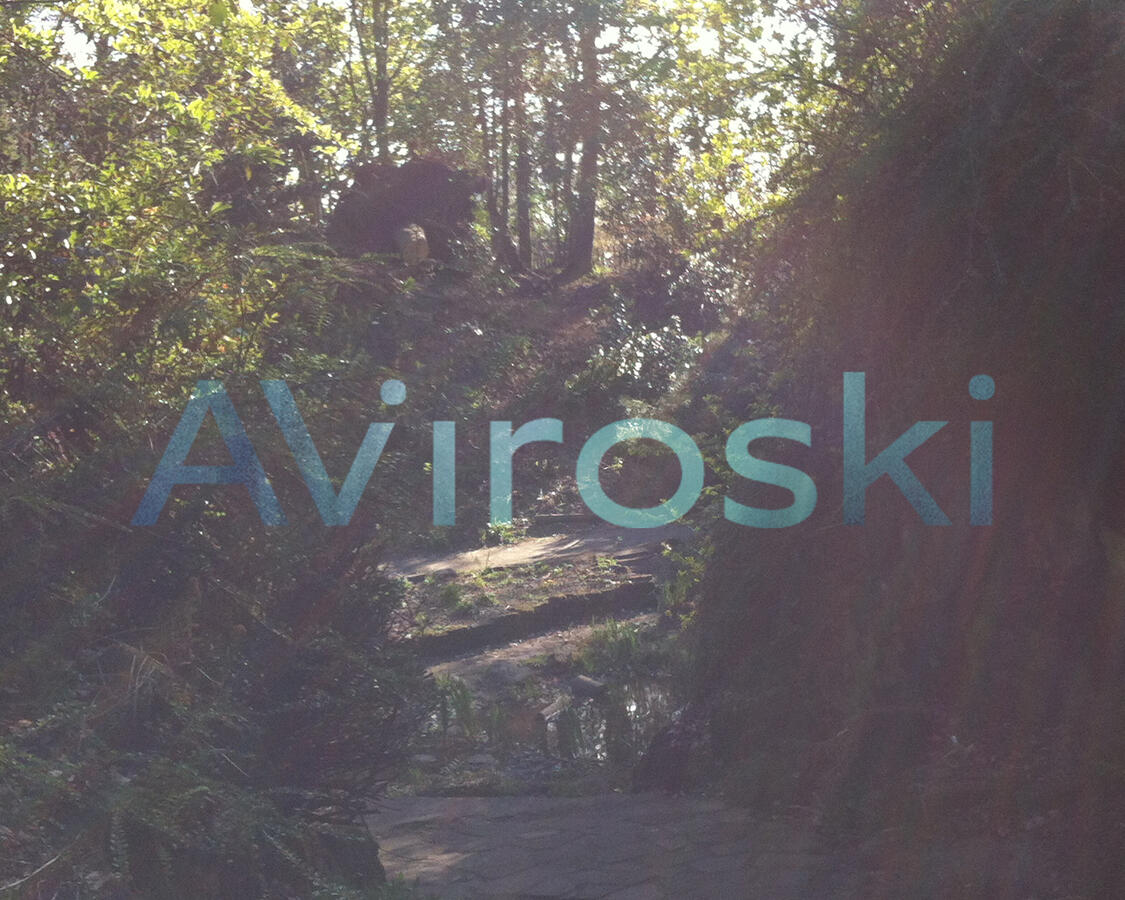 Aviroski